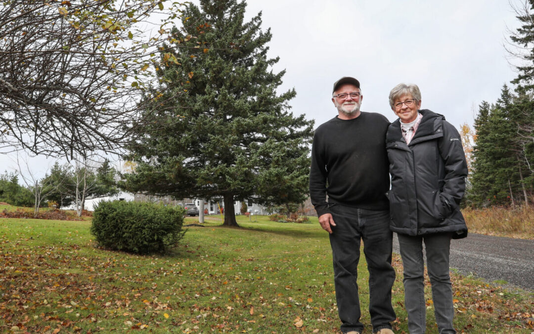 Antigonish County Couple Hugh and Liz Ryan Donate Tree For Boston this Year