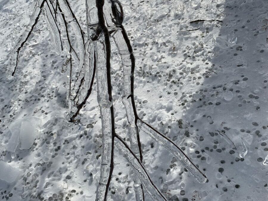 Environment Canada warns of the Potential of Significant Freezing Rain Locally