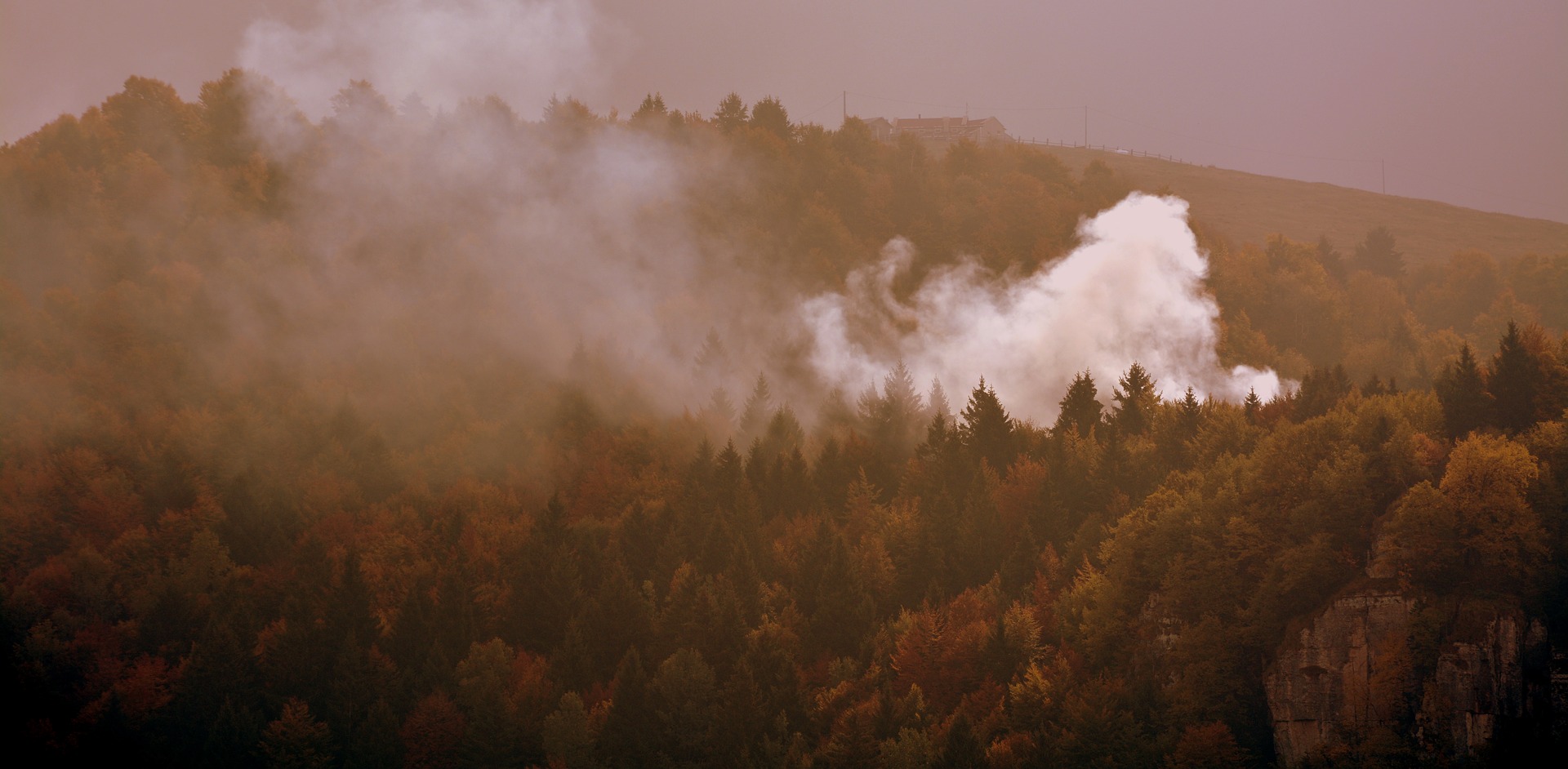 Пламя в тумане. Лес туман огонь. Fog Mist. Mist Fog разница. Огненный туман фото.