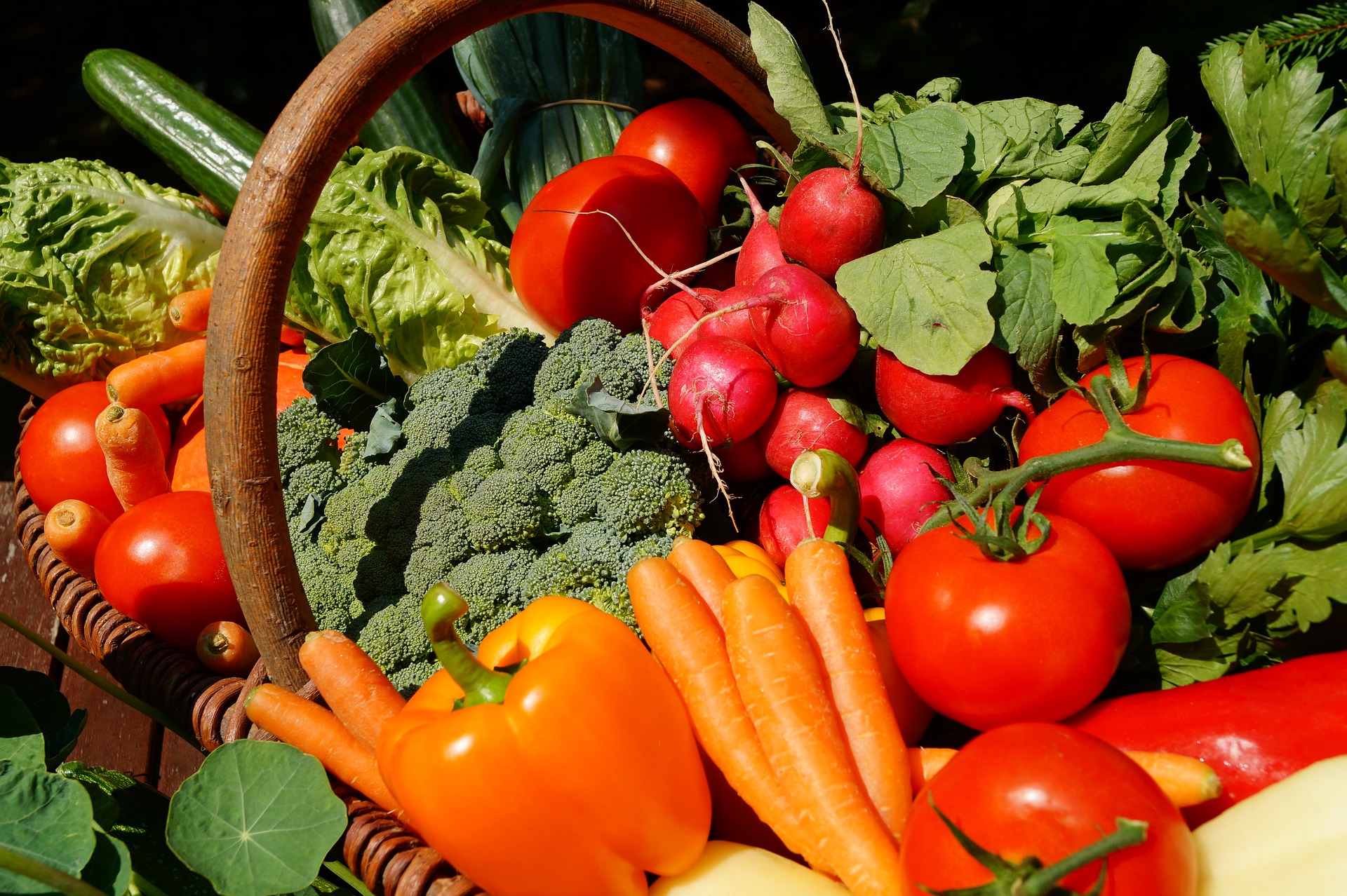 East Coast Credit Union Provides $40,000 to New Glasgow Farmers Market